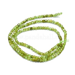 Natural Peridot Beads Strands&nbsp;G-P457-B01-06