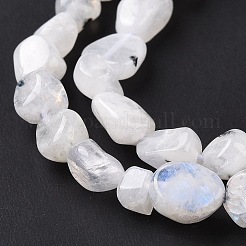 Natural Rainbow Moonstone Beads Strands&nbsp;G-A208-12