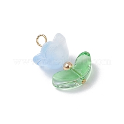 5Pcs Handmade Lampwork Pendants&nbsp;PALLOY-TA00310