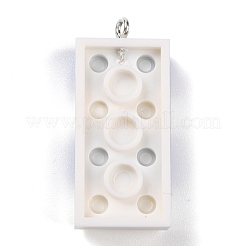 Resin Pendants&nbsp;RESI-E017-C06