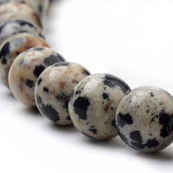 Natural Dalmatian Jasper Beads Strands&nbsp;X-G-S259-24-8mm