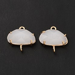 K9 Glass Connector Charms&nbsp;KK-E071-24KCG-03