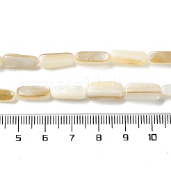 Natural Trochus Shell Beads Strands&nbsp;SHEL-G020-03A