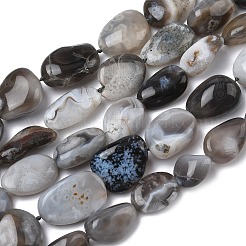 Natural Botswana Agate Beads Strands&nbsp;G-L650-D03-04