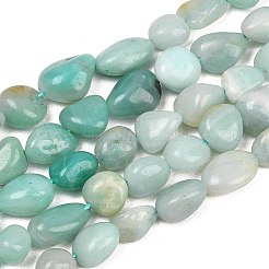 Natural Amazonite Nuggets Beads Strands&nbsp;G-J335-31A