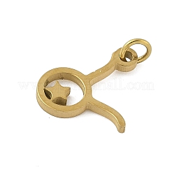 316L Surgical Stainless Steel Pendants&nbsp;STAS-U058-01G-02
