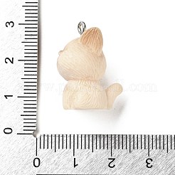 Amimal Resin Pendants&nbsp;RESI-I346-01P-02