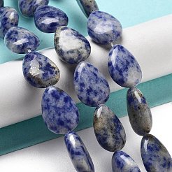 Natural Blue Spot Jasper Beads Strands&nbsp;G-P528-L17-01