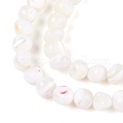 Natural Trochid Shell/Trochus Shell Beads Strands&nbsp;SSHEL-N040-06