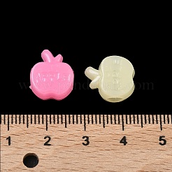 Fruit Theme Plastic European Beads&nbsp;KY-F023-03B