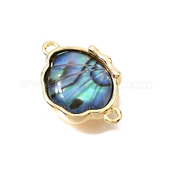 Natural Paua Shell Brass Connector Charms&nbsp;KK-N289-24G