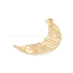 Ion Plating(IP) 304 Stainless Steel Pendants&nbsp;STAS-S136-06G-02