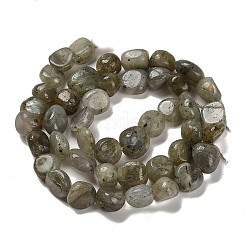 Natural Labradorite Beads Strands&nbsp;G-P497-01E-47