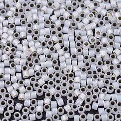 MIYUKI Delica Beads&nbsp;SEED-JP0008-DB0221