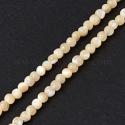 Natural Trochid Shell/Trochus Shell Beads Strands&nbsp;SSHEL-S266-023B-01