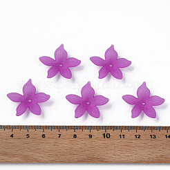 Transparent Acrylic Beads&nbsp;MACR-S373-127-D07