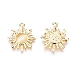 Alloy Cat Eye Pendants&nbsp;ENAM-R053-006B