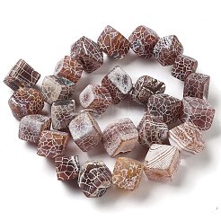 Natural Weathered Agate Beads Strands&nbsp;G-Q169-C04-02A