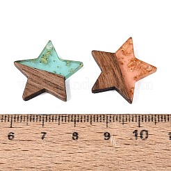 Opaque & Transparent Resin & Walnut Wood Pendants&nbsp;RESI-N053-31