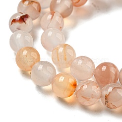 Natural Red Dendritic Agate Beads Strands&nbsp;G-A232-A02-02