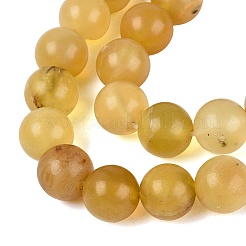 Natural Yellow Opal Beads Strands&nbsp;G-Q616-05B