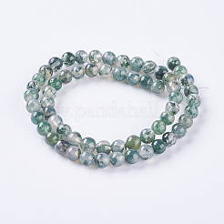 Natural Moss Agate Beads Strands&nbsp;G-L470-31-6mm