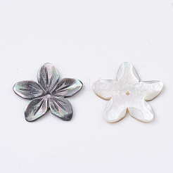 Natural Black Lip Shell Beads&nbsp;SHEL-S269-70