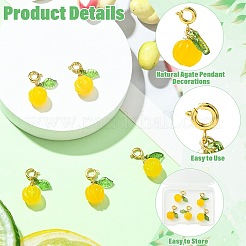 5Pcs Natural Agate Pendant Decorations&nbsp;FIND-CJ0005-39B