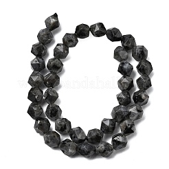 Natural Larvikite Beads Strands&nbsp;G-Z119-A32-03