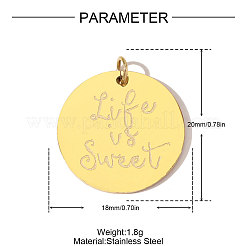 304 Stainless Steel Pendants&nbsp;STAS-OY010-67G