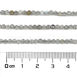 Natural Labradorite Beads Strands&nbsp;G-I341-11A