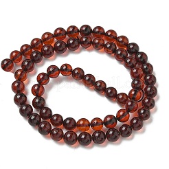 Natural Amber Beads Strands&nbsp;G-K387-D01-01