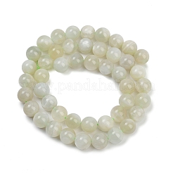Natural Green Moonstone Beads Strands&nbsp;G-NH0060-A01-02