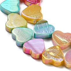 Electroplated Natural Freshwater Shell Beads Strands&nbsp;BSHE-G034-10