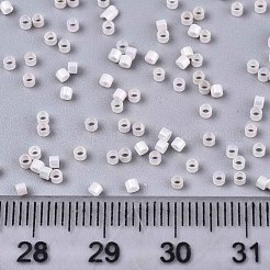 FGB 11/0 Grade A Baking Paint Glass Seed Beads&nbsp;SEED-S030-0371