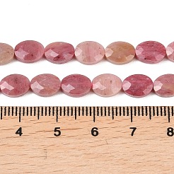 Natural Rhodonite Beads Strands&nbsp;G-H349-A01-10
