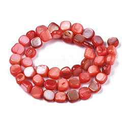 Natural Trochid Shell/Trochus Shell Beads Strands&nbsp;SHEL-S258-083-B06