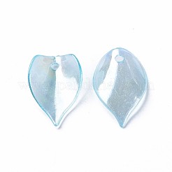 Transparent Acrylic Beads&nbsp;MACR-S373-103-C03