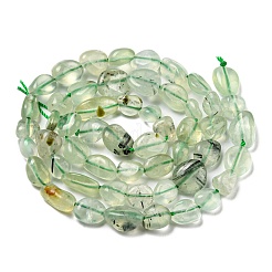 Natural Prehnite Beads Strands&nbsp;G-P497-01A-09