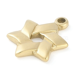 Ion Plating(IP) 304 Stainless Steel Pendants&nbsp;STAS-P366-42G