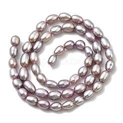 Natural Cultured Freshwater Pearl Beads Strands&nbsp;PEAR-I007-01P-01
