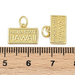 Brass Charms&nbsp;KK-S527-13G