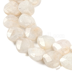 Natural Rainbow Moonstone Beads Strands&nbsp;G-G118-A01-01