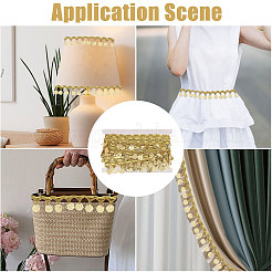 Polyester Metallic Thread & Sequins Lace Tassel Ribbon&nbsp;OCOR-WH0105-237A