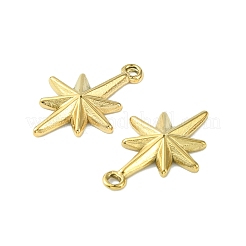 304 Stainless Steel Pendants&nbsp;STAS-L269-047G