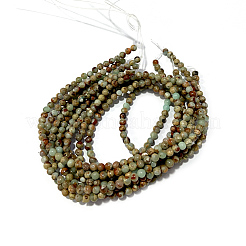 Round Synthetic Aqua Terra Jasper Beads Strands&nbsp;G-N0160-04-4mm