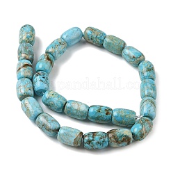 Natural Magnesite Beads Strands&nbsp;GG-CBA6BAC-E06