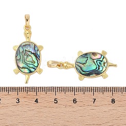 Rack Plating Natural Paua Shell Pendants&nbsp;KK-E059-16G