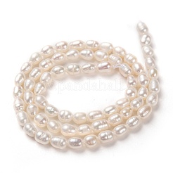 Natural Cultured Freshwater Pearl Beads Strands&nbsp;PEAR-J005-58