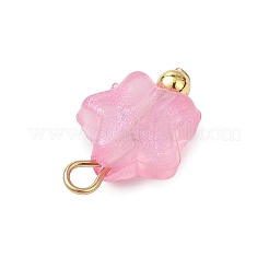 Luminous Acrylic Charms&nbsp;PALLOY-JF03320-01